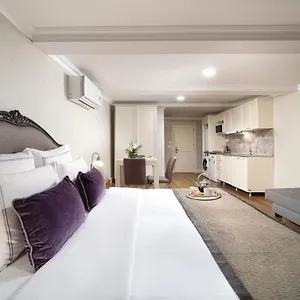 Daire Meroddi Galata Flats